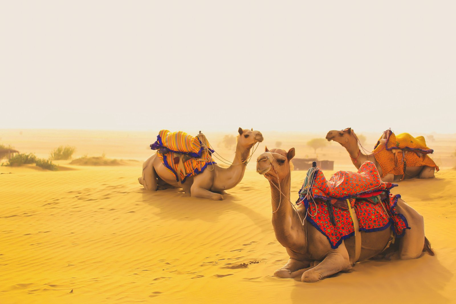 Jaisalmer