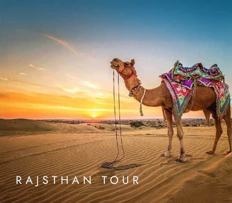 Rajasthan Tour